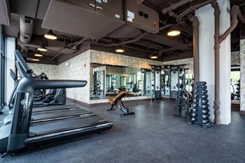 Fitness center at the rosie, apartments in pilsen at 1461 s blue island ave.